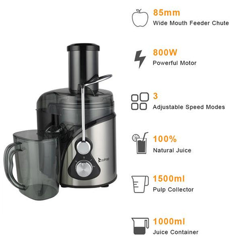 American Standard 110V Stainless Steel Large Caliber Juice Cup Electric Juicer