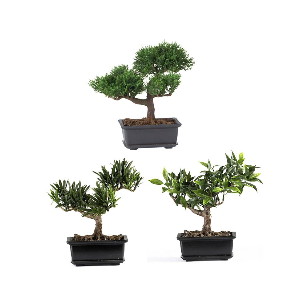Nearly Natural 4122 8.5in. Bonsai Silk Plant Collection (Set of